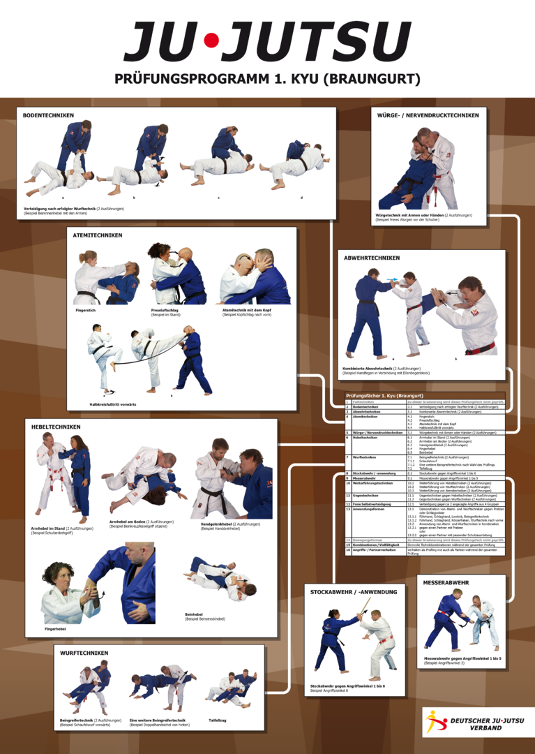 DJJV Lehrtafel 1. Kyu - Braungurt