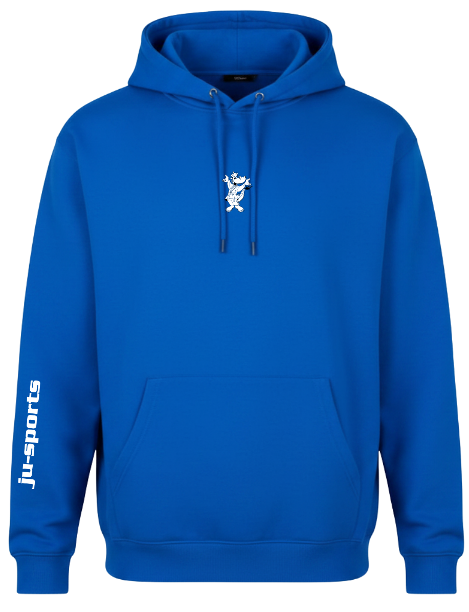 hoodie, hooded sweatshirt, blue, pocket, longsleeve